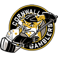 Team Logo