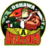 Oshawa Aviators