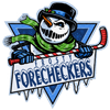 Frosty Forecheckers