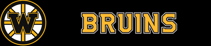 BRUINS