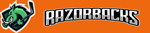 RAZOR