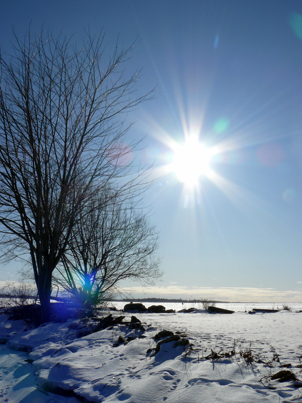 SNAPSHOT - A beautiful winter day on Ault Island