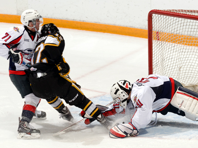 Sting sweep home and home against Spits