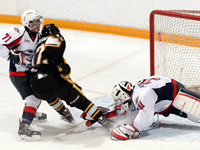 Sting sweep home and home against Spits
