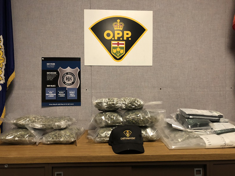 Traffic Stop results in Drug and Speeding charges