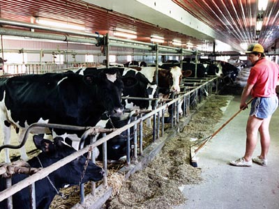 Re-listing of XL Foods Inc. good news for beef producers