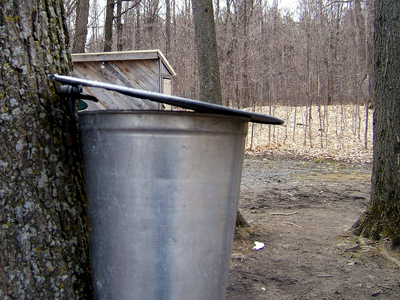 Traditional Fun at the Sugar Bush