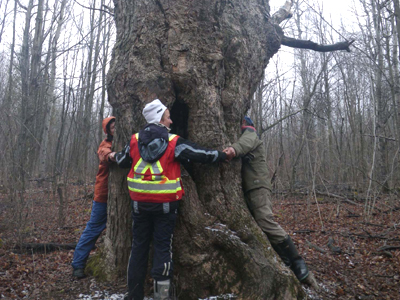 South Nation Conservation launches two programs on trees