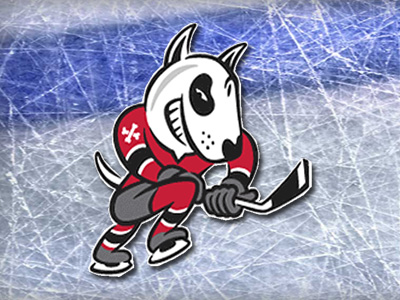 Niagara IceDogs score trio of commitments