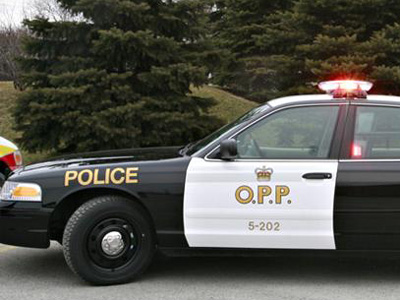 OPP attend park, make two separate arrests