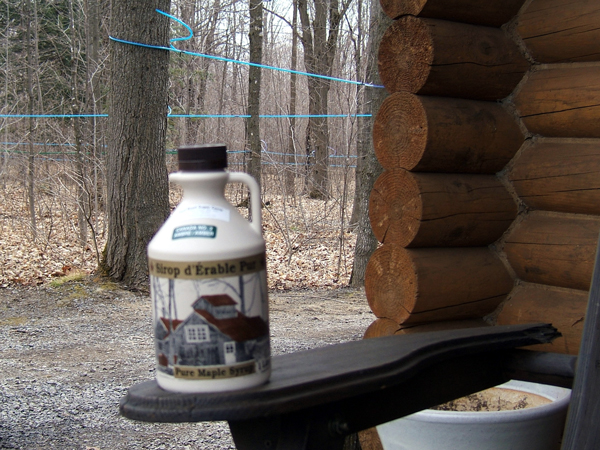 SNAPSHOT - Maple Syrup, It doesn’t get any more Canadian!