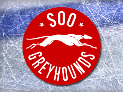 Hounds trim Training Camp Roster