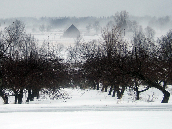 SNAPSHOT - Rain and fog at Strathmore Orchard & Winery