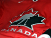 Team Canada will not send athletes to Games in summer 2020 due to COVID-19 risks