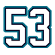 53